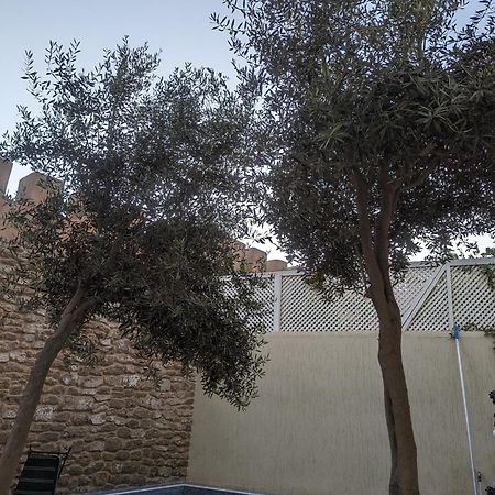 Aghata Palms Riad Essaouira Exterior foto